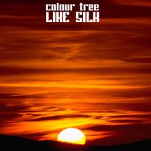 Colour Tree: Teardrop
