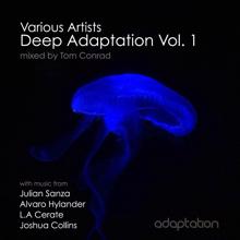 Various Artists: Deep Adaptation, Vol. 1