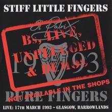 Stiff Little Fingers: B's, Live, Unplugged & Demos