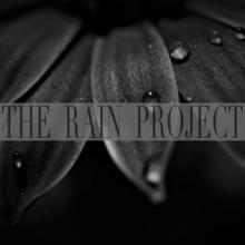 Rain Sounds: The Rain Project