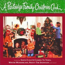 The Partridge Family: A Partridge Family Christmas Card