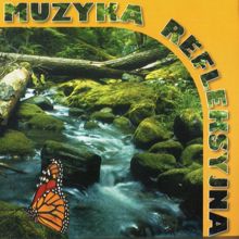 Piotr Piotrowski: Muzyka refleksyjna