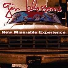 Gin Blossoms: Found Out About You