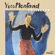 Yves Montand: Yves Montand Collector