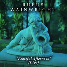 Rufus Wainwright: Peaceful Afternoon (Live From The Paramour)