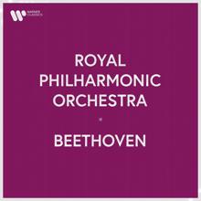 Royal Philharmonic Orchestra: Royal Philharmonic Orchestra - Beethoven