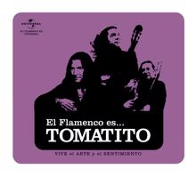 Tomatito: Flamenco es...Tomatito