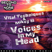 Vital Techniques & Mikey B: Voices in My Head