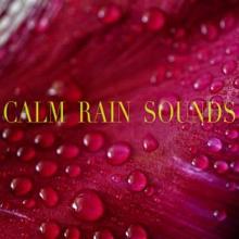 Rain Sounds: Calm Rain Sounds