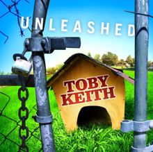 Toby Keith: Rock You Baby (Album Version)