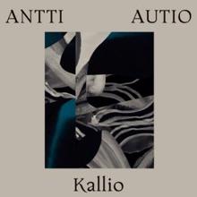 Antti Autio: Kallio