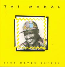 Taj Mahal: Take All The Time You Need