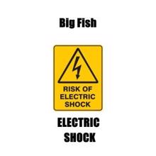 Big Fish: Electric Shock