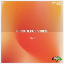 Various Artists: Soulful Vibes, Vol. 9