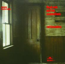 Lloyd Cole And The Commotions: Patience