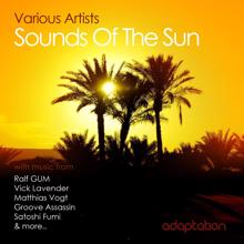 Various Artists: Sounds of the Sun