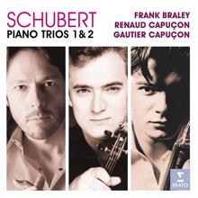 Renaud Capuçon, Gautier Capuçon, Frank Braley: Schubert: Piano Trio No. 2 in E-Flat Major, Op. 100, D. 929: II. Andante con moto