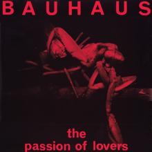 Bauhaus: The Passion of Lovers