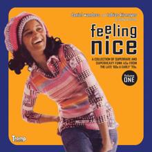 Various Artists: Feeling Nice