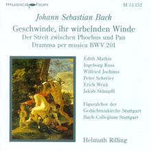 Helmuth Rilling: Bach, J.S.: Geschwinde, Ihr Wirbelnden Winde / Oboe D'Amore Concerto, Bwv 1055