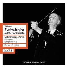 Wilhelm Furtwängler: Violin Concerto in D Major, Op. 61: I. Allegro ma non troppo