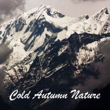 Rain Sounds: Cold Autumn Nature