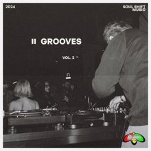 Various Artists: Grooves Vol. 2