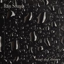 Rain Sounds: Wind and Shower