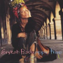 Erykah Badu: Apple Tree (Vol. 1)