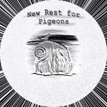 Jerome Rose: New Rest for Pigeons