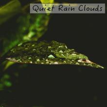 Rain Sounds: Quiet Rain Clouds