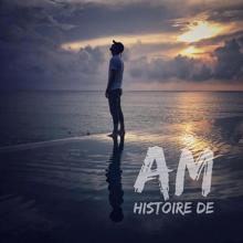 AM: Histoire de