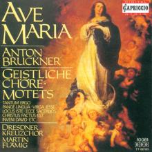 Dresdner Kreuzchor: Ave Maria, WAB 5