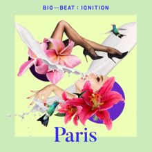 Various Artists: Big Beat Ignition: Paris