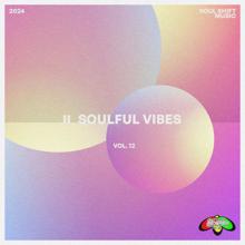 Various Artists: Soulful Vibes Vol. 12