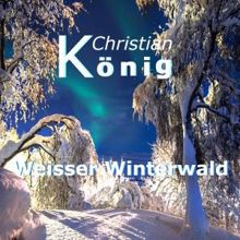 Christian König: Weisser Winterwald