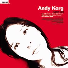 Andy Korg: I Want You EP