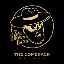 Zac Brown Band: Wild Palomino