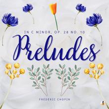 Frédéric Chopin: Preludes in C Minor, Op. 28 No. 10 'the Night Moth'