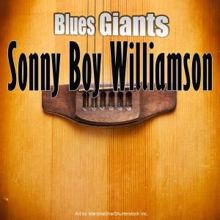 Sonny Boy Williamson: Blues Giants: Sonny Boy Williamson