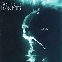 Sophie B. Hawkins: Whaler