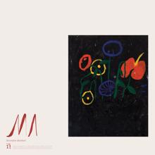 Devendra Banhart: Memorial