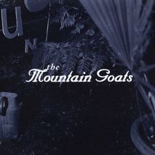 The Mountain Goats: See America Right