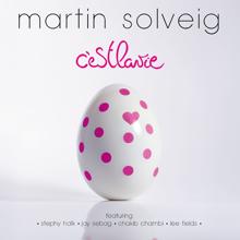 Martin Solveig: C'est la vie