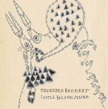 Devendra Banhart: Little Yellow Spider