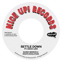 Blend Mishkin & Roots Evolution: Settle Down