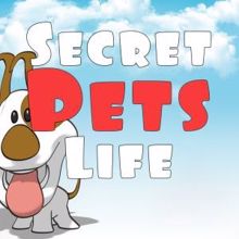 Detroit Soul Sensation: I Was Made to Love Her (From "Secret Life of Pets 2")