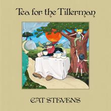 Cat Stevens: Tea For The Tillerman (Remastered 2020) (Tea For The Tillerman)