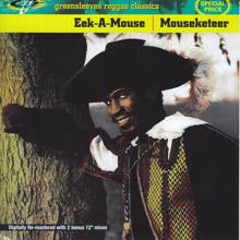 Eek-A-Mouse: Mouseketeer