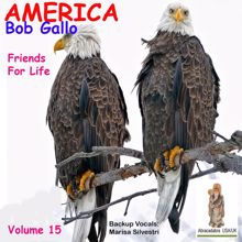Bob Gallo: America, Vol. 15.  Friends for Life